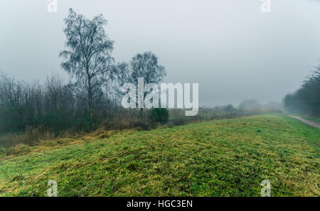 Ein Blick auf Paddington Wiesen in Warrington, Cheshire Stockfoto