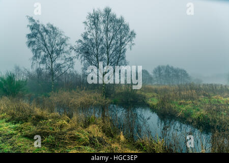 Ein Blick auf Paddington Wiesen in Warrington, Cheshire Stockfoto