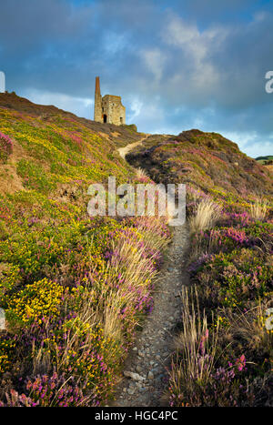 Tywarnhayle Maschinenhaus in der Nähe von Porthtowan in Cornwall. Stockfoto