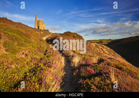 Der Fußweg zum Maschinenhaus der Tywarnhayle in der Nähe von Porthtowan in Cornwall. Stockfoto