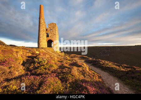 Tywarnhayle Maschinenhaus in der Nähe von Porthtowan in Cornwall. Stockfoto