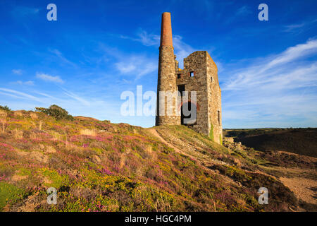 Tywarnhayle Maschinenhaus in der Nähe von Porthtowan in Cornwall. Stockfoto