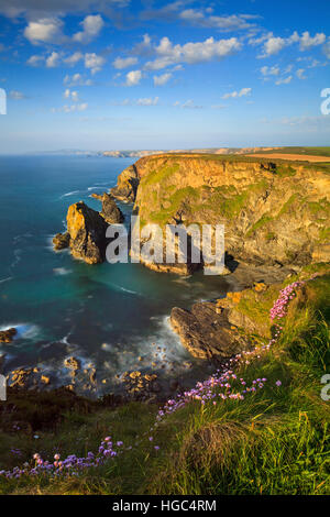 Sparsamkeit bei der Hölle Mund auf der Nordküste von Cornwall. Stockfoto