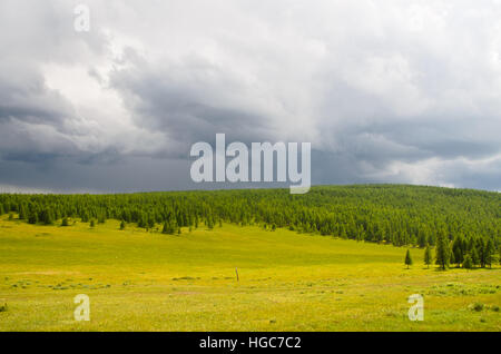 Transitional Zone der zentralasiatischen Steppe und sibirischen Taiga Khovsgol Provinz. Stockfoto