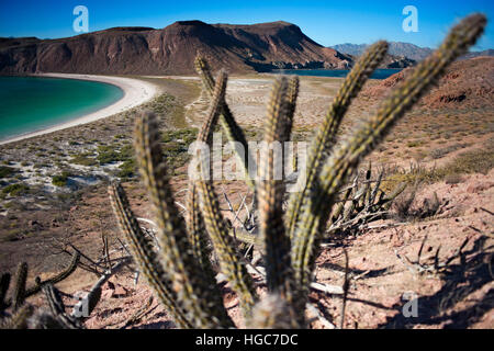 Isla San Francisco, Sea of Cortez, Baja California Sur, Mexiko. Stockfoto