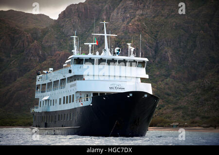 Safari Endeavour Kreuzfahrt von Isla San Francisco, Sea of Cortez, Baja California Sur, Mexiko. Stockfoto