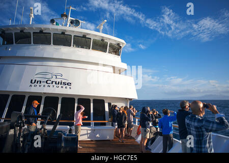 Sichtungen von Buckelwalen, auf dem Weg nach Puerto Escondido. Safari Endeavour Kreuzfahrt in Sea of Cortez, Baja California Sur, Mexiko. Stockfoto