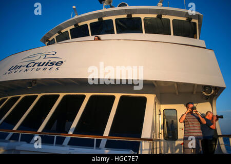 Sichtungen von Buckelwalen, auf dem Weg nach Puerto Escondido. Safari Endeavour Kreuzfahrt in Sea of Cortez, Baja California Sur, Mexiko. Stockfoto