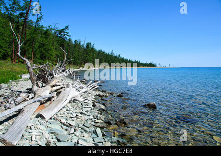 Khovsgol See und sibirischen Taiga Wald im Sommer. Stockfoto