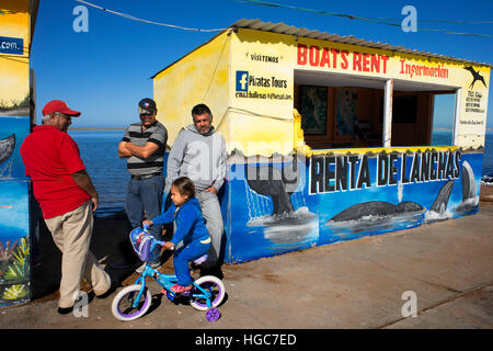 Mieten Sie Boote für Sichtungen von Grauwale Kalben & Zucht Lebensraum, Bahia Magdalena in Sea of Cortez, Baja California Sur, Mexiko. Stockfoto