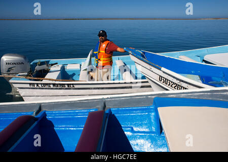 Boote für Sichtungen von Grauwale Kalben & Zucht Lebensraum, Bahia Magdalena in Sea of Cortez, Baja California Sur, Mexiko. Stockfoto