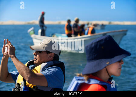 Sichtungen von Grauwale Kalben & Zucht Lebensraum, Bahia Magdalena in Sea of Cortez, Baja California Sur, Mexiko. Stockfoto