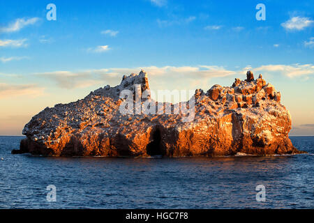 Die Guano beschichtet Klippen Los Islotes Seelöwen Rookery, Sea of Cortez, Baja California, Mexiko. Kalifornische Seelöwen Zalophus Californianus Mexic Stockfoto