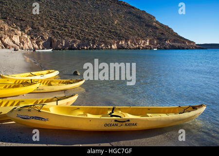 Kayakking in den Strand von Isla Espíritu Santo Insel, Meer von Cortez, Baja California, Mexiko. Stockfoto