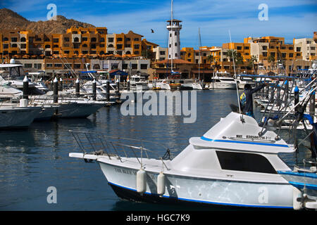 Marina, Cabo San Lucas, Los Cabos, Baja California, Mexiko. Stockfoto