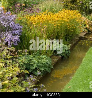 Rudbeckia Fulgida var Deamii Blüten wachsen in Grenze Coton Manor Gardens, Coton, Northamptonshire, England, UK. Stockfoto