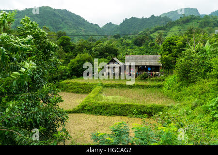 Bauernhof Hütte in einem abgelegenen vietnamesischen Dorf.  Reisfelder in den Vordergrund, Berge im Hintergrund. Stockfoto