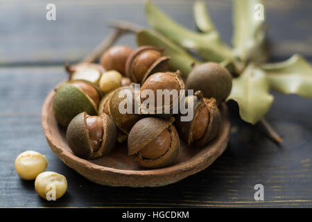 Macadamianüsse Ernte hautnah Stockfoto