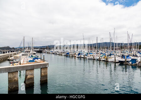 Reihen von Angelboote/Fischerboote und Yachten im Hafen von Monterey Stockfoto