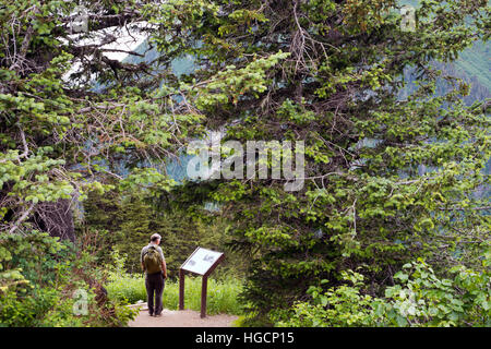 Ein Tourist in einem Signal Information suchen in Mount Roberts. Trekking vom Mt roberts Tramway, Juneau. Alaska. Den oberen Stift von der Straßenbahn ist loc Stockfoto