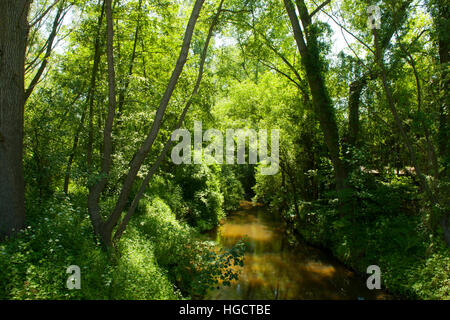 Deutschland, NRW, Städteregion Aachen, Herzogenrath, Naherholungsgebiet Wurmtal Stockfoto