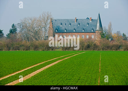 Deutschland, NRW, Kreis Düren, Nörvenich-Binsfeld, Burg Binsfeld, 1533 Erbaut Im Stil der Frührenaissance Stockfoto