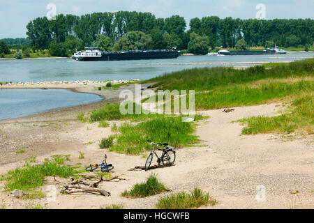 Deutschland, Nordrhein-Westfalen, Bei Düsseldorf, Rheinabschnitt Bei der Urdenbacher Kämpe. Stockfoto