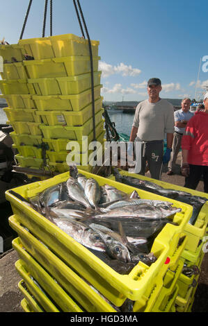 Angelboot/Fischerboot entladen die Boxen von Fisch, Camarinas, La Coruna Province, Region Galicien, Spanien, Europa Stockfoto