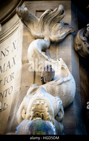 insbesondere der Fontana di Piazza Rotonda der Brunnen auf dem Platz der Pantheon in Rom Stockfoto