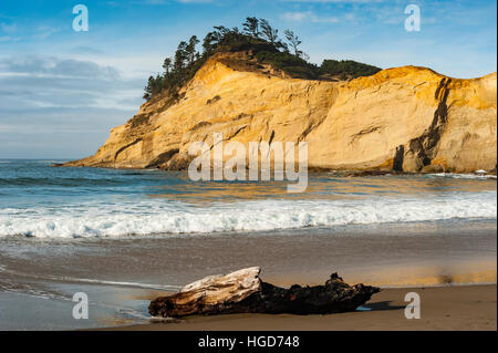 Ein Stück Treibholz liegt am Cape Kiwanda Strand in der Region Pacific City, Oregon, ON, USA. Stockfoto