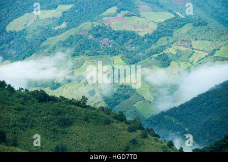 Teils überdachte Bereich von grünen Bergen mit Morgennebel Stockfoto