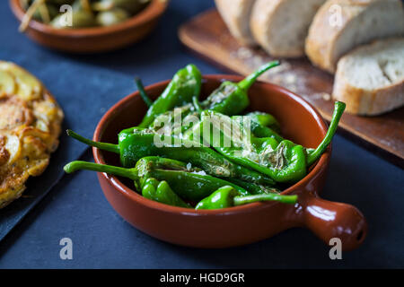 Authentische spanische Tapas mit Padron Paprika Stockfoto