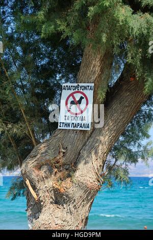 Keine Hunde Schild an einem Baum am Rande der Strand, Kalyves, Kreta, Griechenland, Europa angeschlossen. Stockfoto