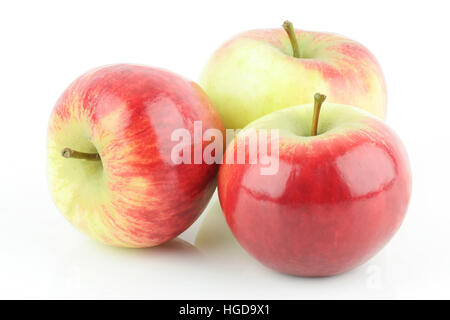 Drei glänzende frische roter Elstar Apfel (Malus Domestica), auf einem weißen Hintergrund. Stockfoto