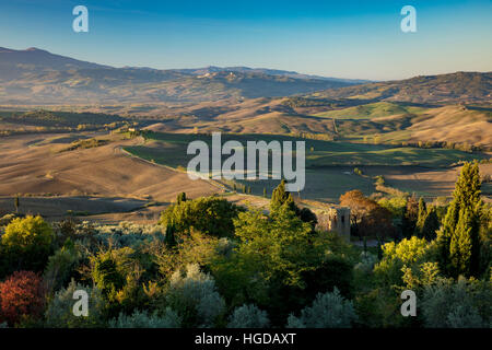 Am frühen Morgen Blick über Pieve di Corsignano und die toskanische Landschaft unter Pienza, Toskana, Italien Stockfoto