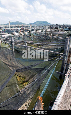 Thailand, Songkhla, Koh Yo, ländlichem Bauernhof Süßwasser Fischzucht Stockfoto
