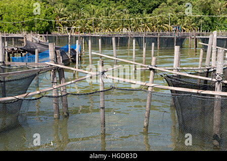 Songkhla, Thailand Koh Yo, ländlichem Bauernhof Süßwasser Fische Stockfoto