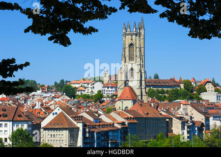 Kathedrale St. Nikolaus in FribourgSwitzerland Stockfoto