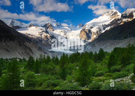 Morteratsch, Piz Palue, 3905 ms, Piz Bernina, 4049 ms, Biancograt, Morteratschgletscher, Graubünden Schweiz Stockfoto