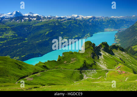 Brienzer Rothorn Berge, Berner Oberland, Schweiz, Stockfoto