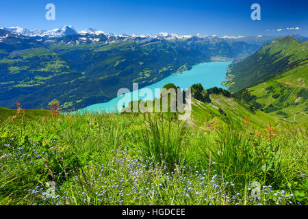 Brienzer Rothorn Berge, Berner Oberland, Schweiz, Stockfoto