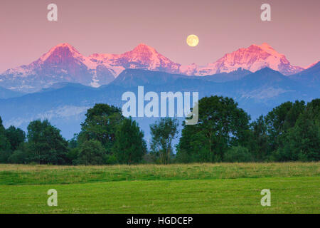 Eiger - 3970 ms, Mönch, - 4107 ms, Jungfrau - 4158 ms Berner Oberland, Schweiz, Stockfoto