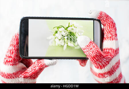 Hände in Handschuhen ein Foto von Schneeglöckchen bouquet Stockfoto