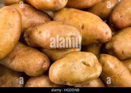 kleinen gewaschen und ungekochte Kartoffeln hautnah Stockfoto