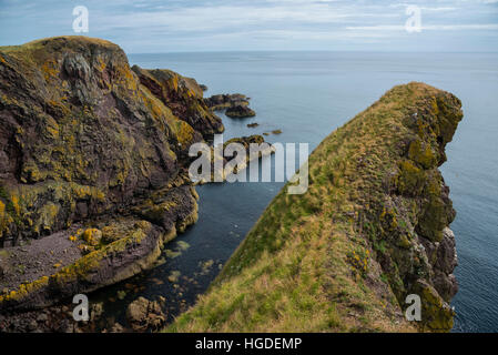 UK, Schottland, East Lothian, St. Abbs Stockfoto