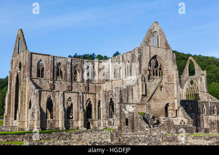 Wales, Monmouthshire, Tintern Abbey Stockfoto