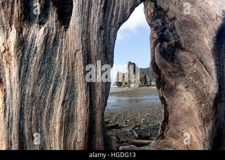 WA11950-00... WASHINGTON - Treibholz und Seastacks bei Ruby Beach in Olympic Nationalpark. Stockfoto