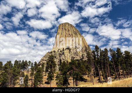 WY02268-00... WYOMING - Ansicht des Devils Tower aus den roten Betten Weg in Devils Tower National Monument Stockfoto