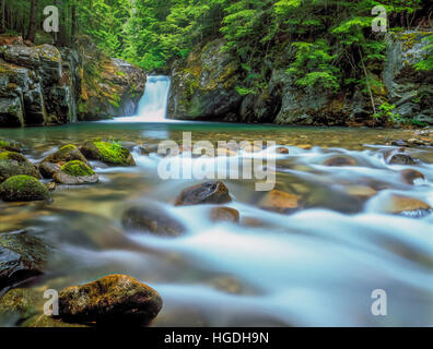 Wasserfall am Granit Creek in der Wildnis Kabinett Berge in der Nähe von Libby, montana Stockfoto