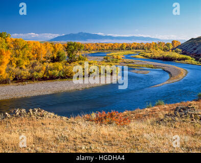 Herbstfarben Sie entlang des Flusses Jefferson unter Ruby liegen in der Nähe von zwei Brücken, montana Stockfoto